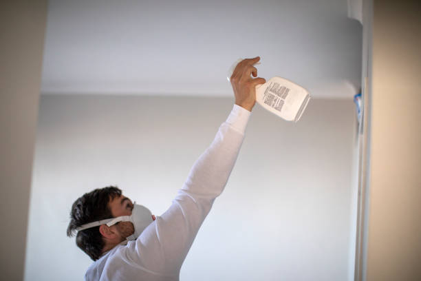 Best Mold Remediation  in Morris Plains, NJ