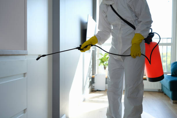 Best Toxic Mold Removal  in Morris Plains, NJ