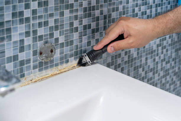 Best Certified Mold Removal  in Morris Plains, NJ