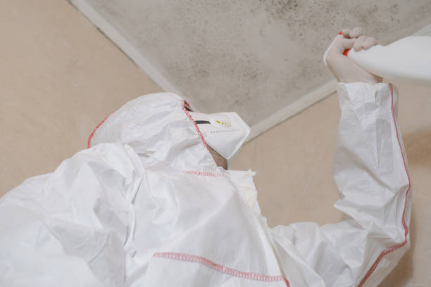Best Commercial Mold Removal  in Morris Plains, NJ