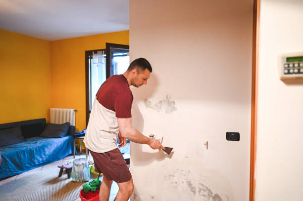 Best Mold Cleaning Services  in Morris Plains, NJ