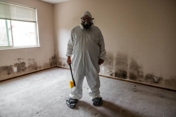 Reliable Morris Plains, NJ Mold Removal Solutions
